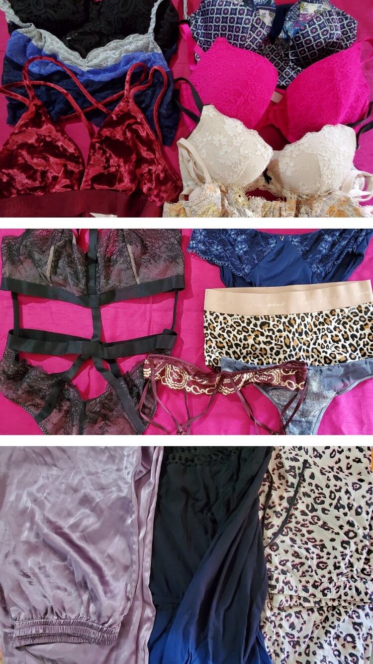 Lot 15 Victorias Secret PINK Panties Bras Romper Pants Snake Bodysuit Garter